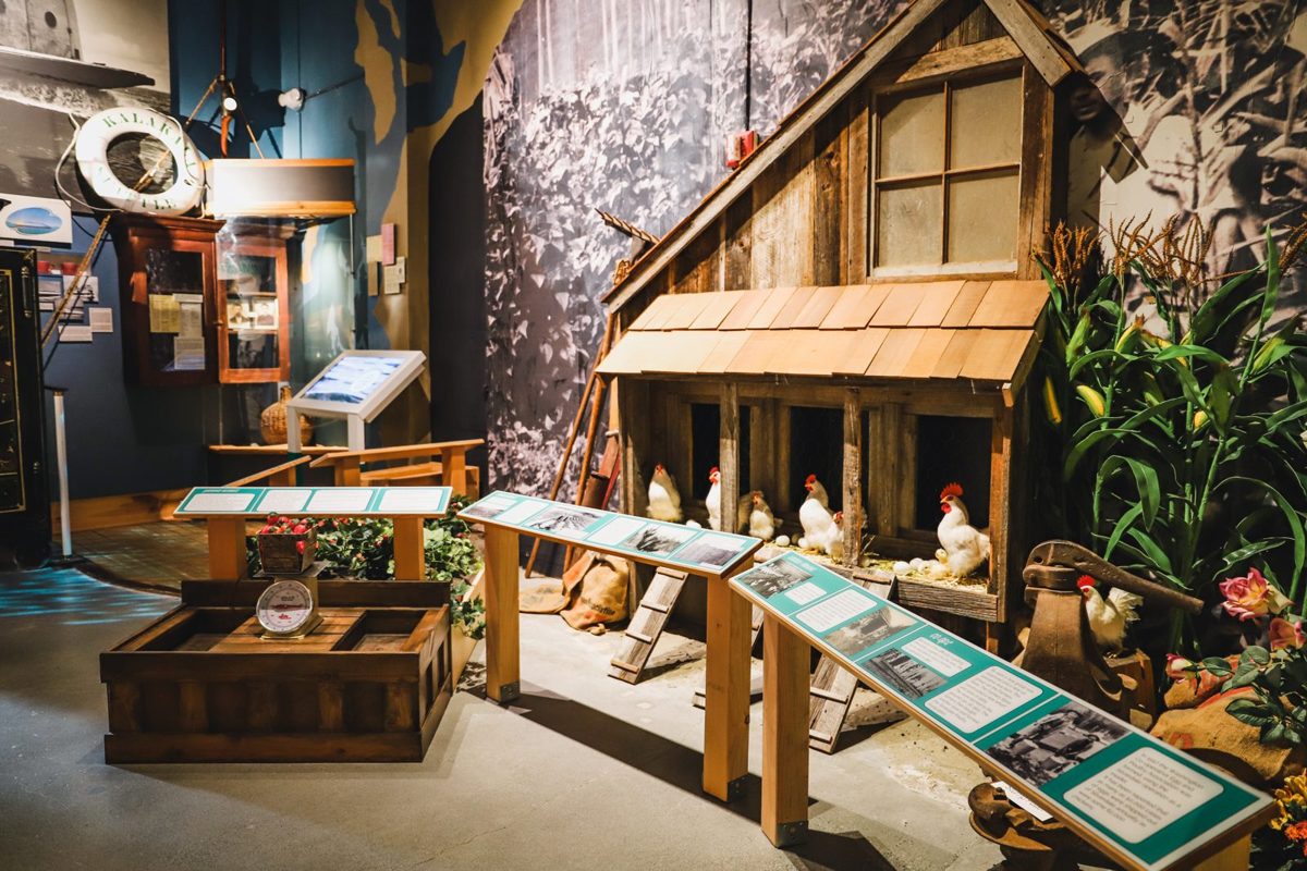 The homestead area of the Kitsap Timeline gallery: a small farmhouse with a chicken coop, egg crates and reader rails