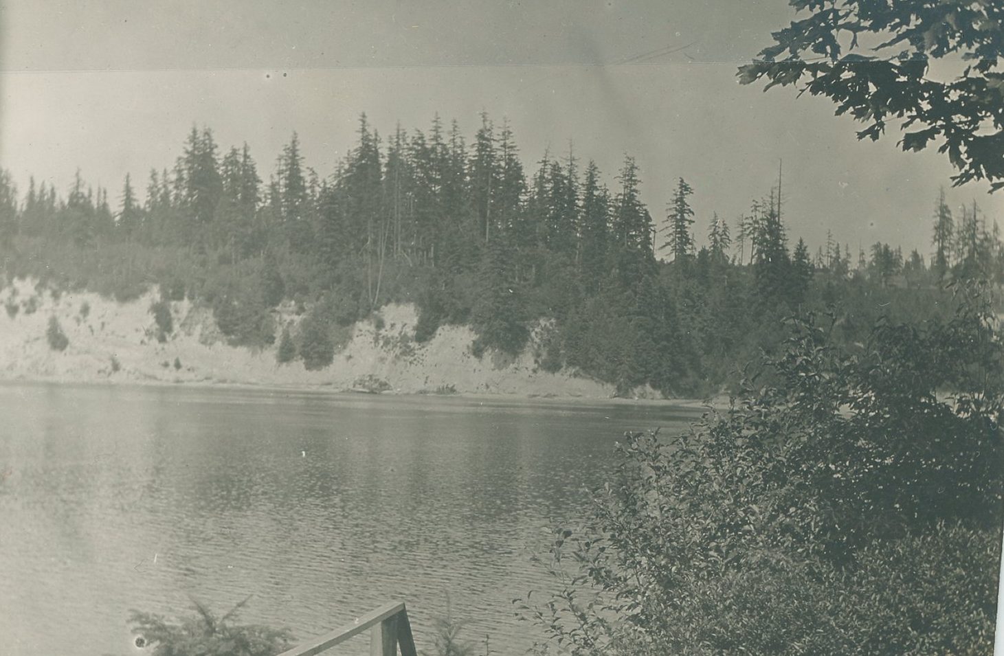 A tall, eroded sand bank above the water, topped by evergreen trees
