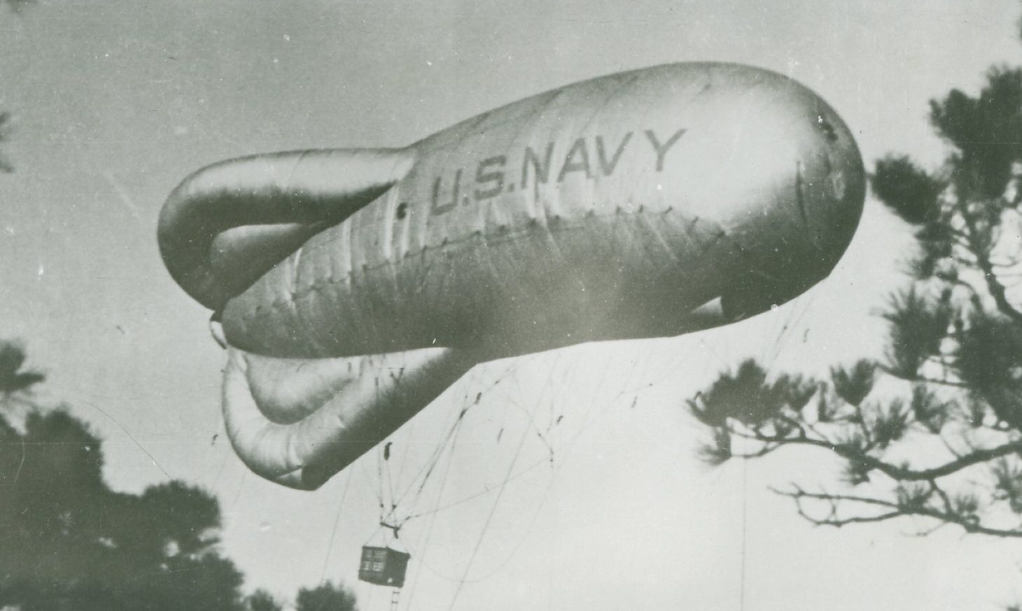 A large barrage balloon lettered U.S. NAVY floating between tree branches