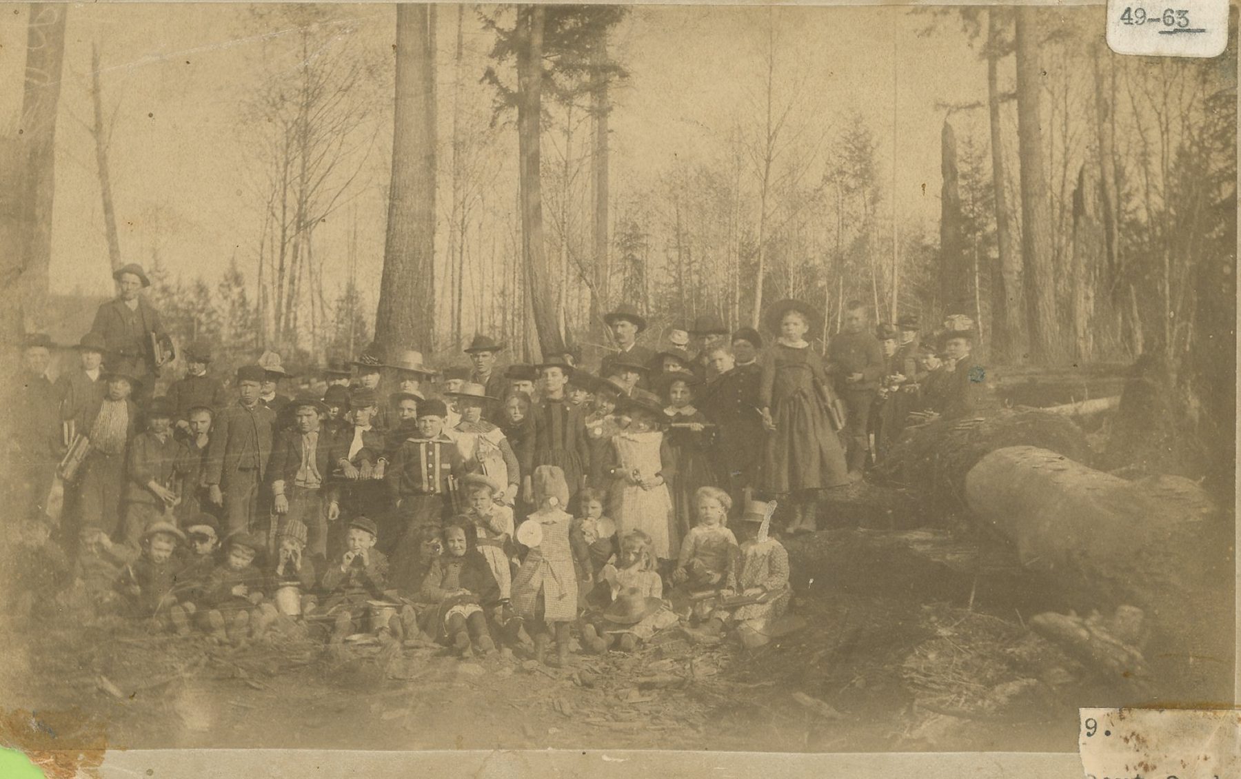 About sixty schoolchildren and adults stand among giant stumps and felled logs